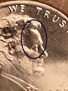 2020 P Lincoln’s Lose Hair Error from a BU Roll - Bild 1 von 4