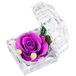 Valentinstag Geschenk Konservierte Infinity Rose Rosenbox Ewige Blume-Geburtstag - Bild 1 von 20
