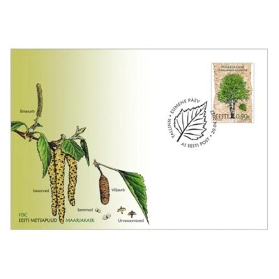 FDC of ESTONIA 2022 - Estonian forest trees – the curly birch - Image 1 of 3