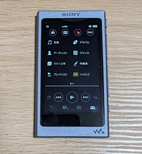Sony Walkman NW-A45HN Hi-Res Digital Music Player Japan - Picture 1 of 4