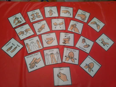 21 SIGN LANGUAGE PEC CARDS - COMMUNICATION - SPECIAL NEEDS - SPEECH AND LANGUAGE - Image 1 of 2