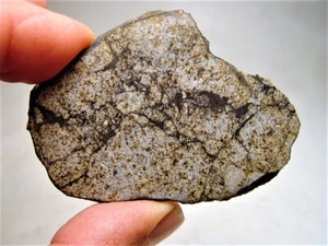 TOP ANGEBOT! NIEDRIGER PREIS! ERSTAUNLICHE VINALES METEORITENSCHEIBE MIT FRISCHER KRUSTE! 21,9 GM - Bild 1 von 8