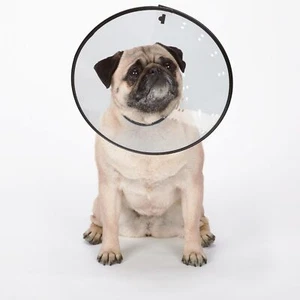 Total Pet Elizabethan E-collar Wound Protection Cone Pet Dog Collar, Clear XS - Picture 1 of 5