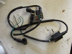 CHINESE MOTORCYCLE COILS AND HT CAPS 50cc- 125 NEW 12VOLT - Picture 1 of 6