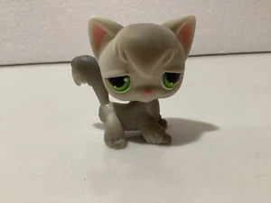 Littlest Pet Shop LPS #20 ANGORAKATZE grau/weiß grüne Augen - Bild 1 von 5
