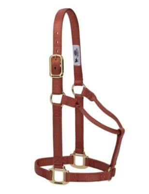 Tejedor Org No Ajustable 1 Pulgada Nylon Halter Grande Caballo Canela Foto 1 de 2