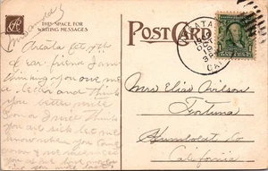 GOLDPATH: US POSTCARD 1909 ARCATA,CA.FLOWERS CV816_P20 - Picture 1 of 2