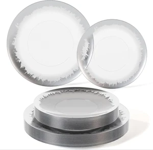 Disposable Plates for Party Supplies | Silver Rimmed Plastic Plates with Silver  - Picture 1 of 6