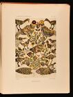 1924 La Decoration Marocaine J. de la Neziere Illustrated Colour Plates Very ...