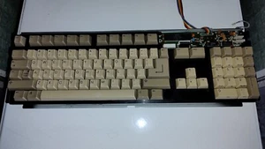 Amiga 500/500+ Tastiera Samsung - Foto 1 di 2