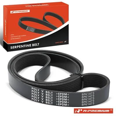 Cinturón Serpentine 58.09" para Blue Bird TC2000 Freightliner Sterling Truck Kenworth Foto 1 de 4