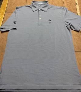 Peter Millar Summer Comfort Blue Stripe Sz M Golf Shirt Stretch Performance Logo - Picture 1 of 7