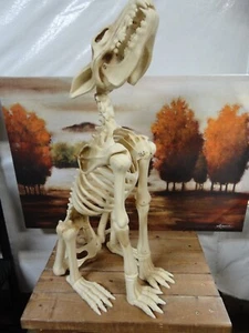 Animated Howling Wolf Skeleton Lit red eyes Prop 31"tall-Sounds-moving jaw-VGC - Picture 1 of 9