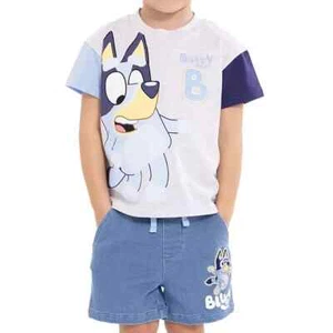 Bluey Toddler Boys 2-Piece Short Set Size 4T - Picture 1 of 5