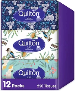 Hypo Allergenic 2 Ply 250 Facial Tissues Pack, 12 Packs - Picture 1 of 11