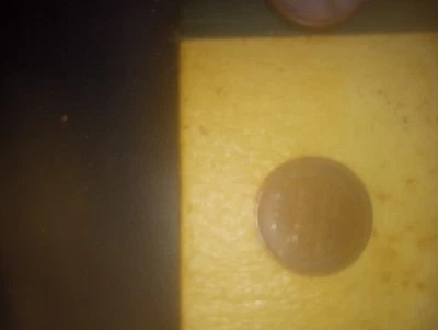 nice collection of wheat pennies 1953,1962 thur 1984 for all collectors - Image 1 of 4