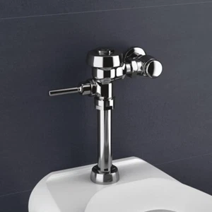 Sloan 111 ROYAL 1.6 GPF Flushometer Dual Filtered 3010000 - Picture 1 of 8