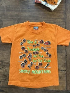Vintage Smoky Mountains Shirt Kids Youth Size 2T - 4T USA Made 90’s - Picture 1 of 4