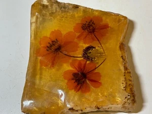 FLORES PRENSADAS SOBRE UN ESPÉCIMEN MINERAL DE SELENITA - Imagen 1 de 2