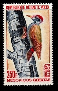 Burkina Faso - Upper Volta 1964 West African Woodpecker Mint MNH SC C18