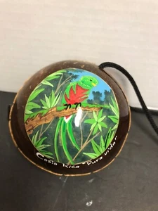 Handbemalte Papagei Souvenir Reißverschluss Beuteltasche/Geldbörse aus 3 1/2" Kokosnuss Costa Rica - Bild 1 von 9