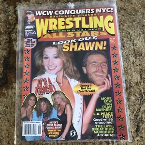 WRESTLING ALL STARS HEROES & VILLAINS - SUNNY & SHAWN - NOV. 1996 - Picture 1 of 1