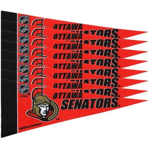 Ottawa Senators NHL 4x9 Mini PENNANT Banner Flag Set (8) FREE US SHIPPING Cover