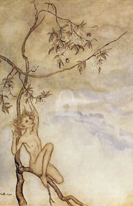 Illustration from The Tempest 14 (1926), Arthur Rackham *Art Postcard* - Picture 1 of 2