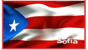 Puerto Rican flag stars and stripes personalized name VINYL checkbook cover - Picture 1 of 5
