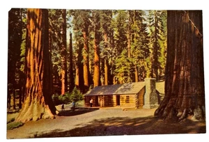 Yosemite Nationalpark, Kalifornien im Mariposa-Hain des großen Baumes ohne Stempel - Bild 1 von 3