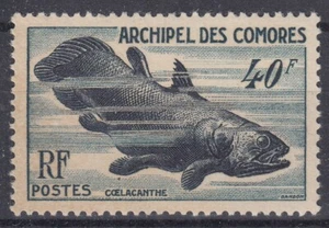 TIMBRE COMORES POISSON COELACANTHE N° 13 NEUF ** GOMME SANS CHARNIERE - Picture 1 of 2