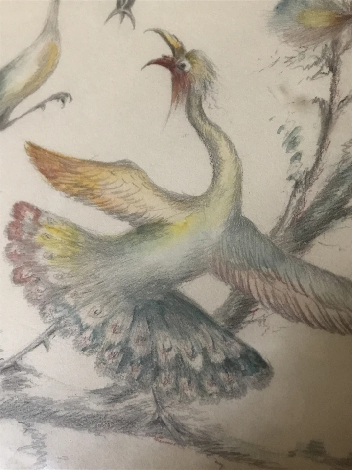 1927 - Cora B. Austin - Dos pájaros - Dibujo - Original - Cleveland - Arte antiguo Foto 1 de 4