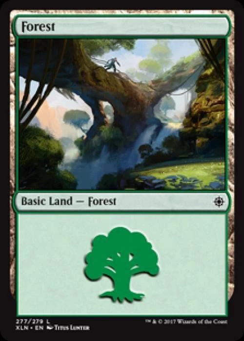 Forest (277) - Light Play MTG Ixalan - Image 1 of 1