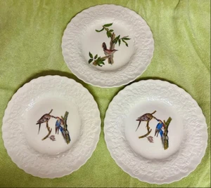 Alfred Meakin Audubon plates - Picture 1 of 6