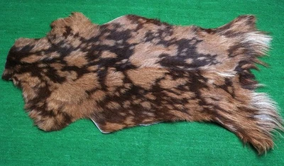 Alfombra de piel de taxidermia occidental CABRA patrón natural piel de cabra cuero de cabra SA-1035 Foto 1 de 3