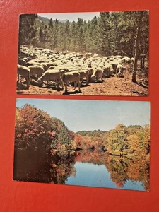 SALUDOS DESDE WILLARD WISCONSIN ~ Dos postales sin publicar ~ Ovejas y estanque grabando - Imagen 1 de 5