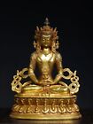 10" Antique Tibetan Buddhism temple Bronze gilt Amitabha Longevity Buddha statue