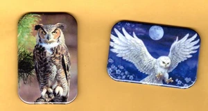 OWL  2 REFRIGERATOR MAGNET  2" X 3"  WITH ROUNDED CORNER - Picture 1 of 4