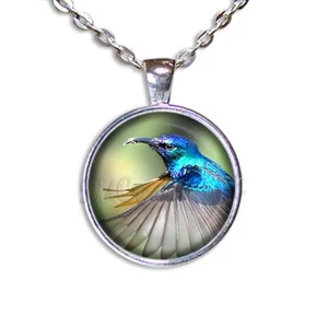 Precioso COLIBRÍ Amantes de los Pájaros - Collar Colgante de Vidrio Redondo Hecho a Mano - Imagen 1 de 10