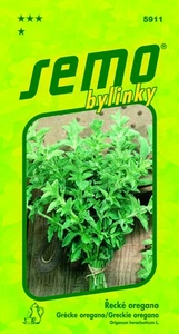 Griechischer Oregano Samen - Bild 1 von 2