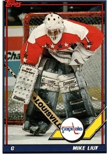 Tarjeta de hockey sobre hielo Mike Liut G Capitals Topps n.º 154 1991 - Imagen 1 de 2