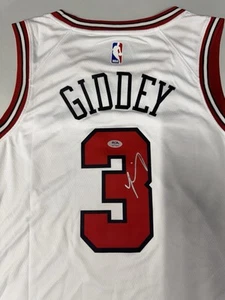 JOSH GIDDEY signed autographed CHICAGO BULLS Jersey w/ COA PSA DNA AO78323 - Picture 1 of 3