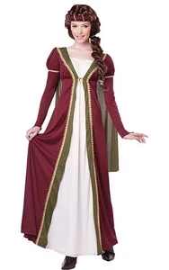 MEDIEVAL MAIDEN RENAISSANCE GAME OF THRONES ADULT WOMENS MAID MARIAN COSTUME - Bild 1 von 2