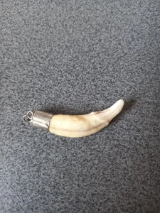 TOOTH PENDANT 4.5 CM SILVER FRAME? - Picture 1 of 9