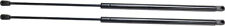 Pair Set of 2 Hood Lift Supports Driver & Passenger Side for Chevy Left Right