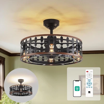 21.5'' Caged Ceiling Fan with Light, Low Profile Ceiling Fan with Light and Remo - Image 1 of 4