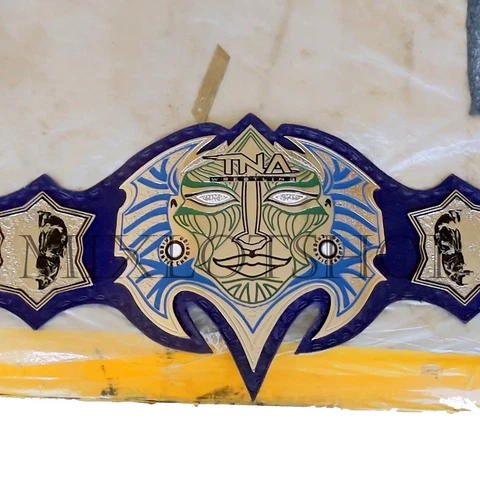 TNA Impact Jeff Hardy Championship Wrestling Belt Title Zinc Cover