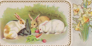 Hase Hasen Narzissen Ostern Postkarte - Bild 1 von 3