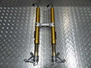 Patas de horquilla delanteras y yugo OEM Triumph SPEED TRIPLE 1200 RR TRS OHLINS 2022 a 2023 - Imagen 1 de 24