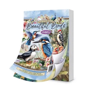 The Little Hunkydory Book of Beautiful Birds - Picture 1 of 2